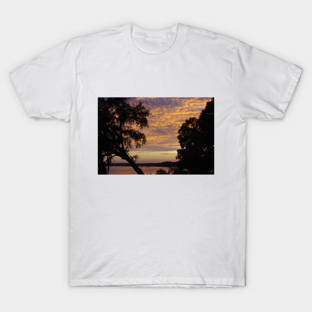 South Carolina Sunset T-Shirt by CreativelyRis